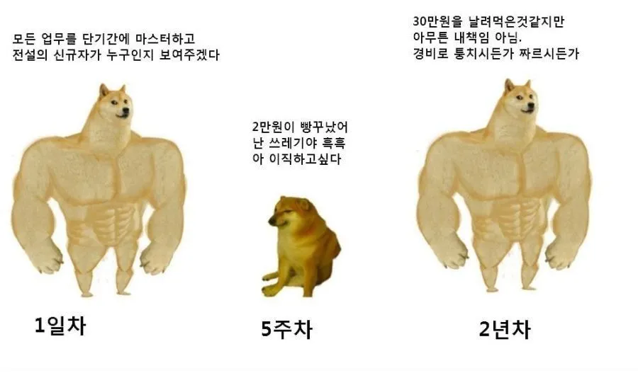 2022년 이직_01